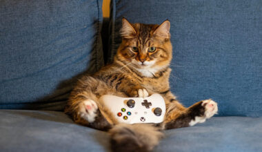 [Klub Samotnego Sylwestrowicza] Gorąca noc przed&nbsp;nami. W&nbsp;co&nbsp;planujecie grać z&nbsp;2025 na&nbsp;2026?