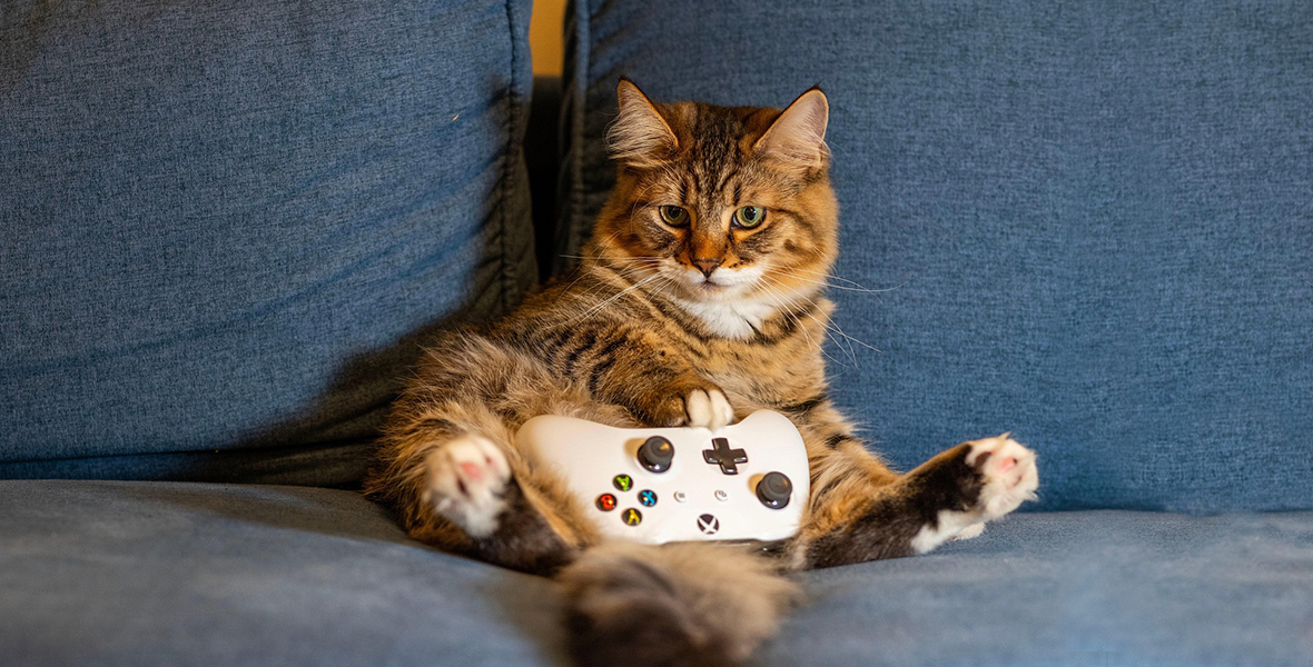 [Klub Samotnego Sylwestrowicza] Gorąca noc przed&nbsp;nami. W&nbsp;co&nbsp;planujecie grać z&nbsp;2025 na&nbsp;2026?