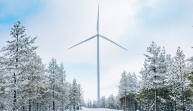 Zimowa pogoda nie zatrzymuje OZE w Polsce. Eksperci PIE o rekordach i wyzwaniach