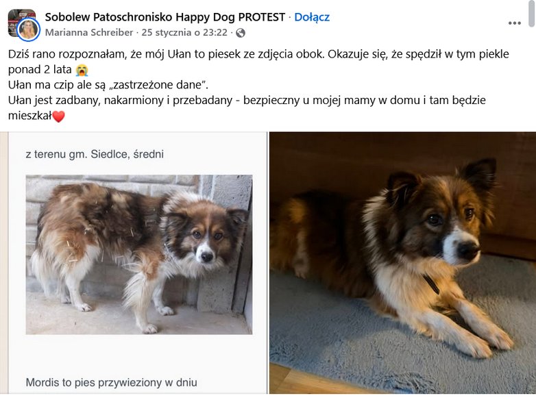 Wpis Marianny Schreiber