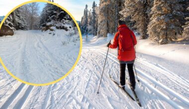 Szlak narciarski w Brennej zniszczony przez kierowcę. "Las to nie tor offroadowy" - Onet