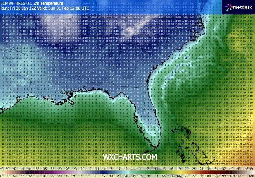 Mrozy zagrażają nawet Florydzie