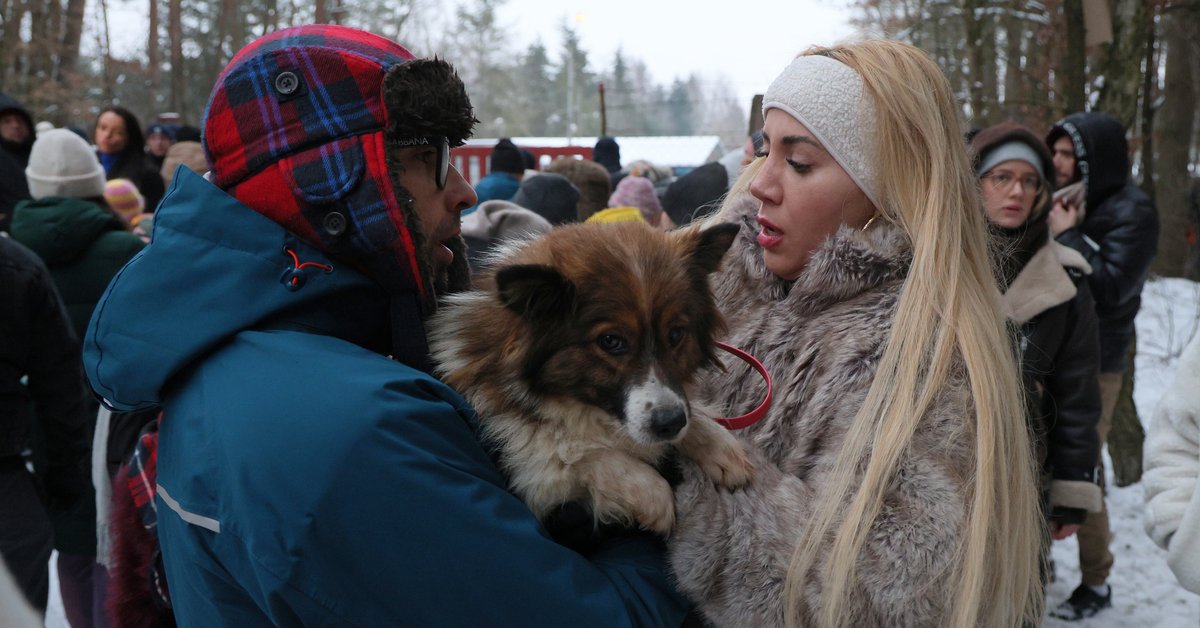 Wpis Marianny Schreiber