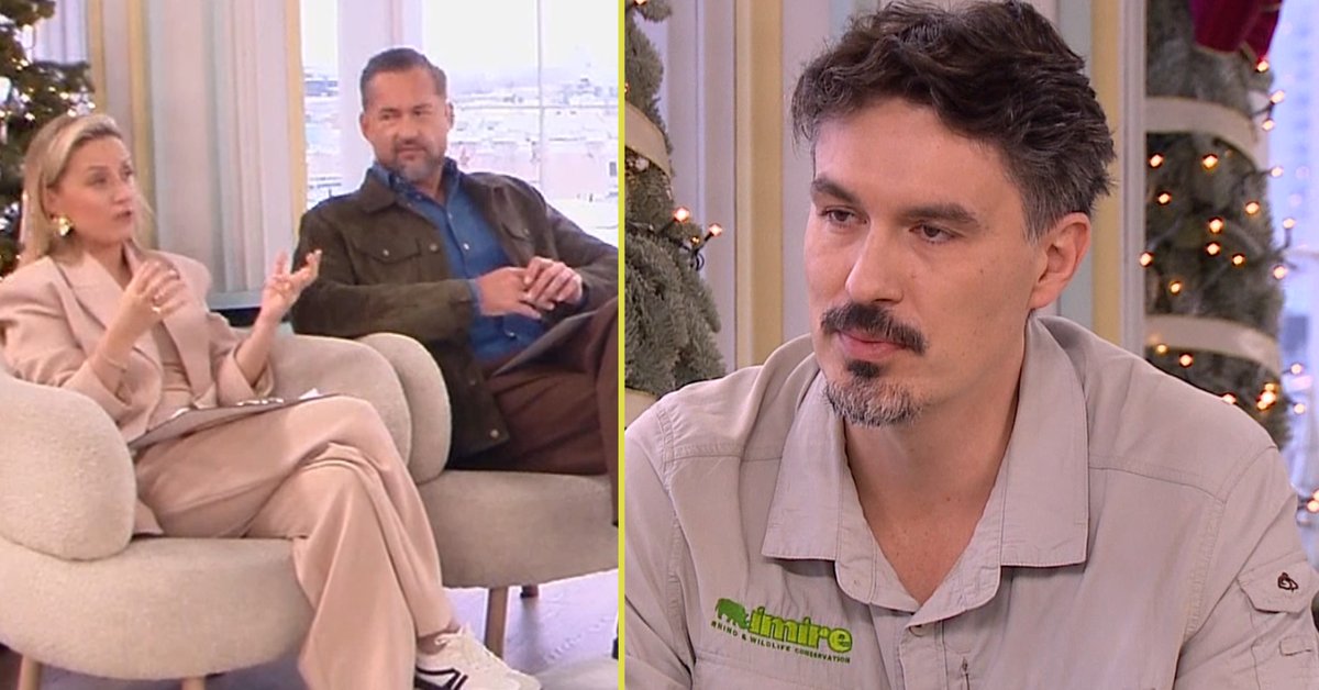 Tomasz Michniewicz w studiu "Dzień dobry TVN"