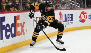 NHL wraca do TVP! Oglądaj dziś mecz Bruins – Penguins [NA ŻYWO] - sport.tvp.pl