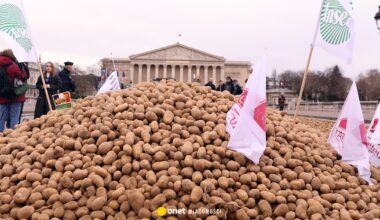 Protest we Francji. Na ulicy rozrzucone zostały ziemniaki