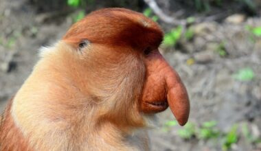 Za darmo to uczciwa cena. Darmowe gry na PC. Najlepsze oferty dla graczy PC w styczniu 2026. Gry za darmo na nowy rok 2026