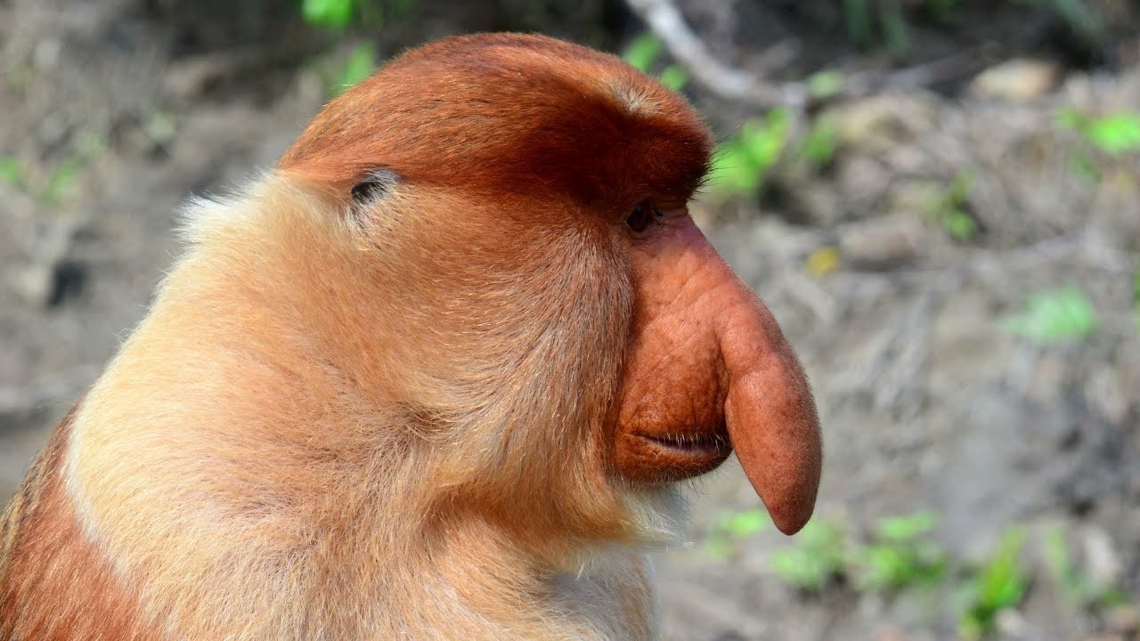 Za darmo to uczciwa cena. Darmowe gry na PC. Najlepsze oferty dla graczy PC w styczniu 2026. Gry za darmo na nowy rok 2026