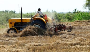 Dochody rolników w Polsce. "Pogorszenie deklaruje 34,3 proc. rolników"