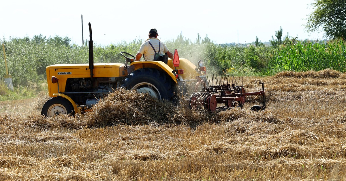 Dochody rolników w Polsce. "Pogorszenie deklaruje 34,3 proc. rolników"