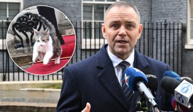 Kot Larry wpadł na prezydenta Karola Nawrockiego. Wszystko nagrały kamery