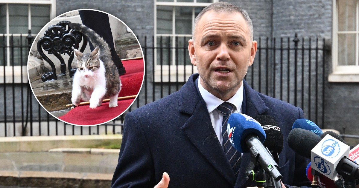 Kot Larry wpadł na prezydenta Karola Nawrockiego. Wszystko nagrały kamery