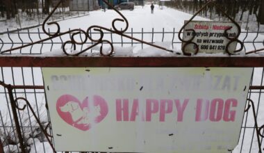 Protest przed schroniskiem w Sobolewie. Donald Tusk zabrał głos - Onet