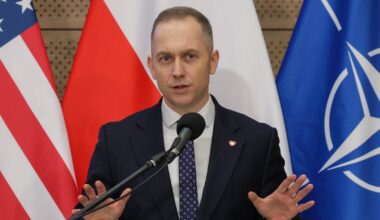 Niemcy i Francuzi wysyłają wojsko na Grenlandię. MON zabiera głos - Onet