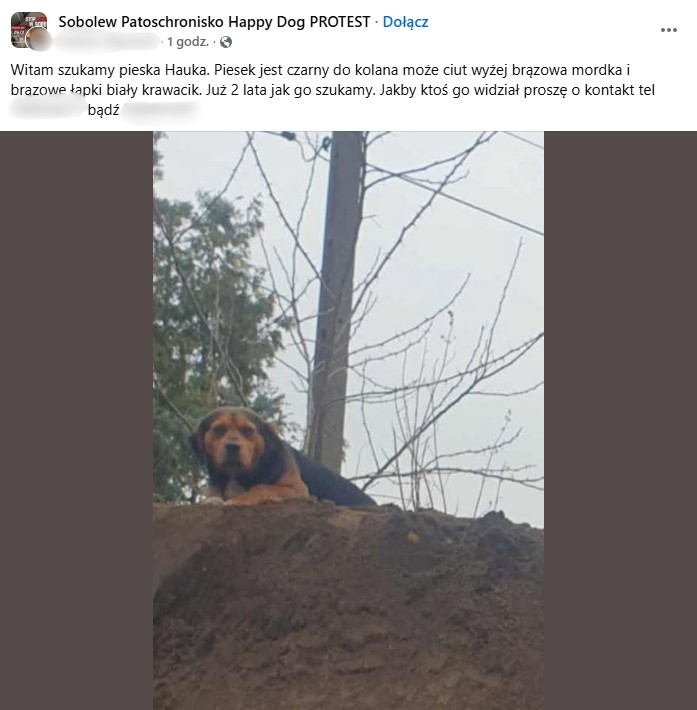 Wpis na grupie Sobolew Patoschronisko Happy Dog PROTEST