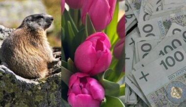 Quiz wiedzy ogólnej dla wymiataczy. Zaledwie 25% z was jest w stanie zdobyć tu maksimum punktów!