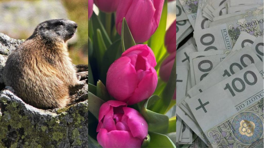 Quiz wiedzy ogólnej dla wymiataczy. Zaledwie 25% z was jest w stanie zdobyć tu maksimum punktów!