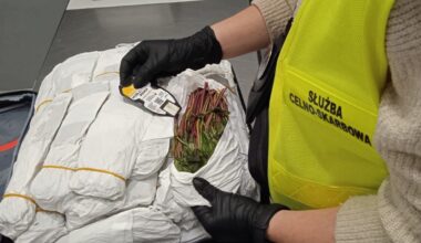 Warszawa. Celnicy udaremnili przemyt narkotyków. Aż 70 kg khatu na Lotnisku Okęcie