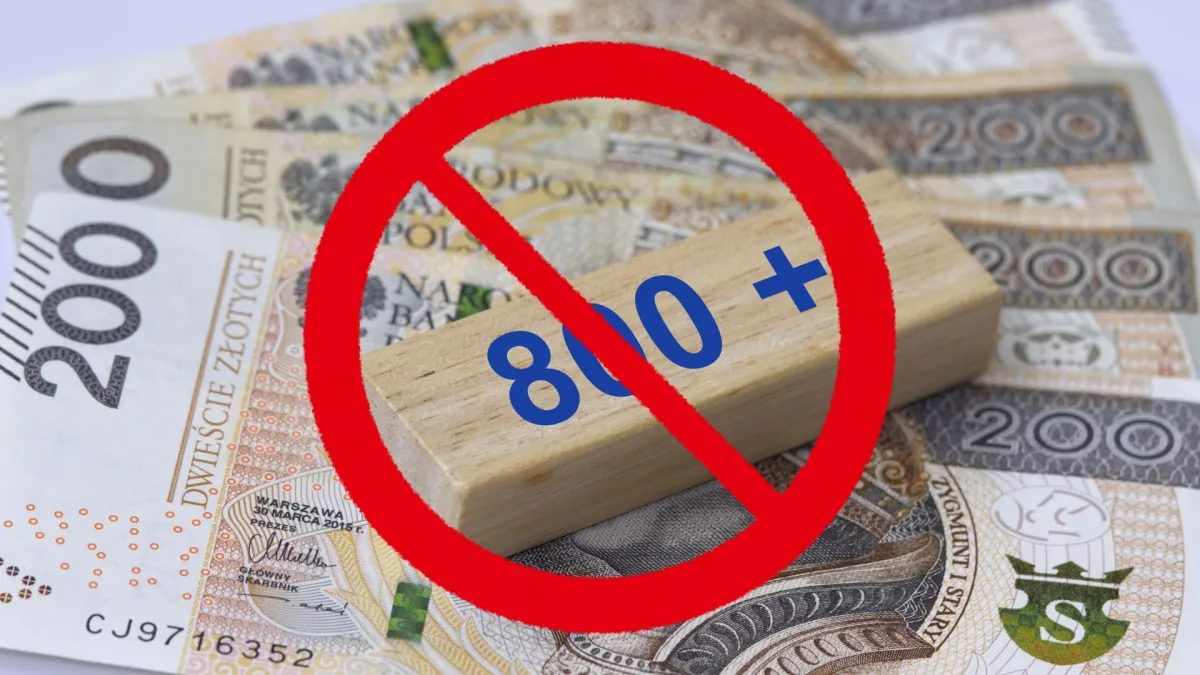 800+ od lutego 2026. Nowe zasady, kontrole ZUS i możliwa starta świadczenia dla dużej grupy uprawnionych