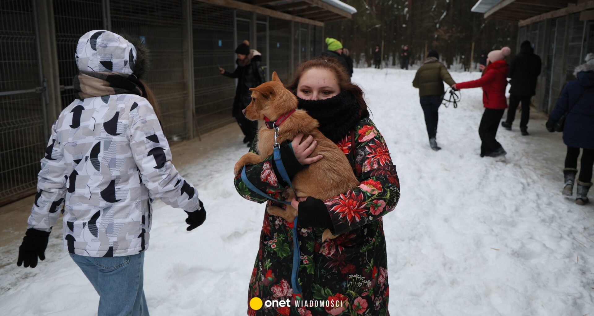 Schroniska dla zwierząt pod lupą. Nieprawidłowości w 40 placówkach