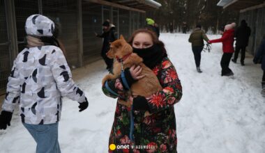 Schroniska dla zwierząt pod lupą. Nieprawidłowości w 40 placówkach