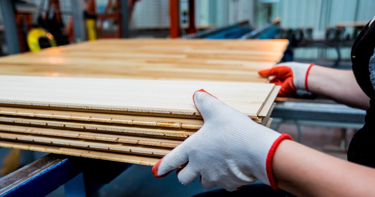 Przejdź na stronę główną INTERIA.PL