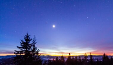Przejdź na stronę główną INTERIA.PL