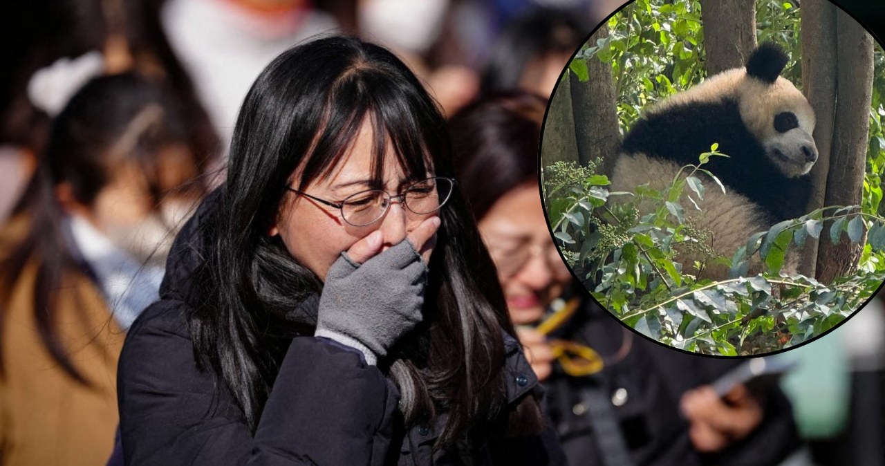 Przejdź na stronę główną INTERIA.PL