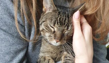 Przejdź na stronę główną INTERIA.PL