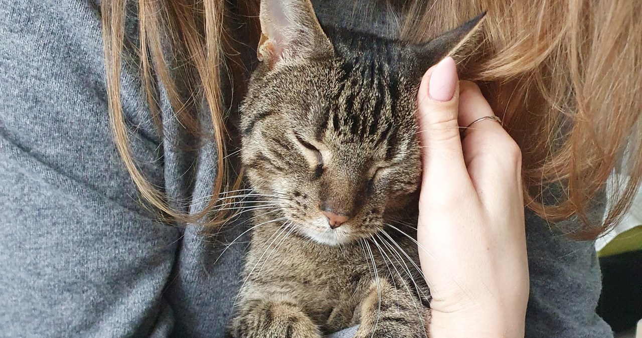 Przejdź na stronę główną INTERIA.PL