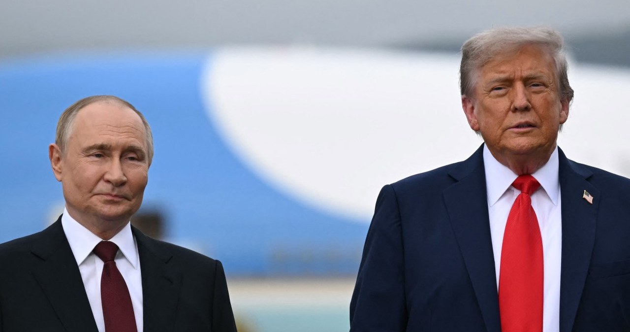 Przejdź na stronę główną INTERIA.PL