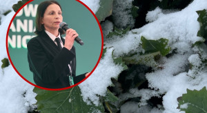 W ochronie ważniejsza faza rozwojowa czy warunki atmosferyczne? Porady prof. Damszel na wiosenną ochronę ozimin