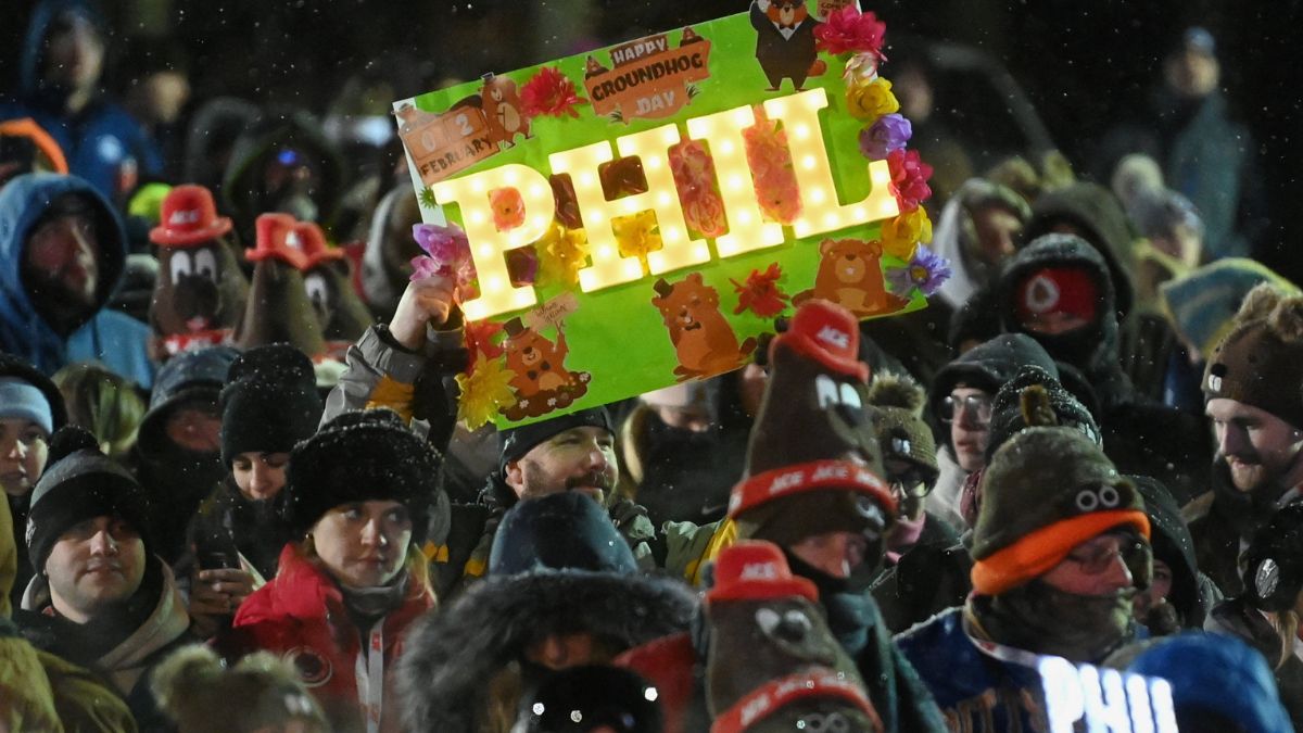 Świstak Phil cieszy się w Pensylwanii ogromną popularnością (fot. Reuters)