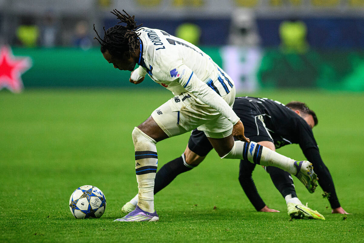 Zdjęcie użytkownika