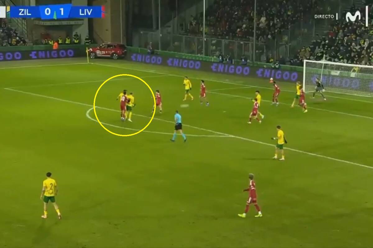 Zdjęcie użytkownika