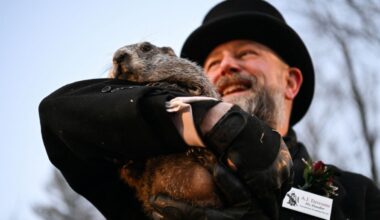 Świstak przepowiedział los milionów ludzi. Jedno spojrzenie wystarczyło - Świat