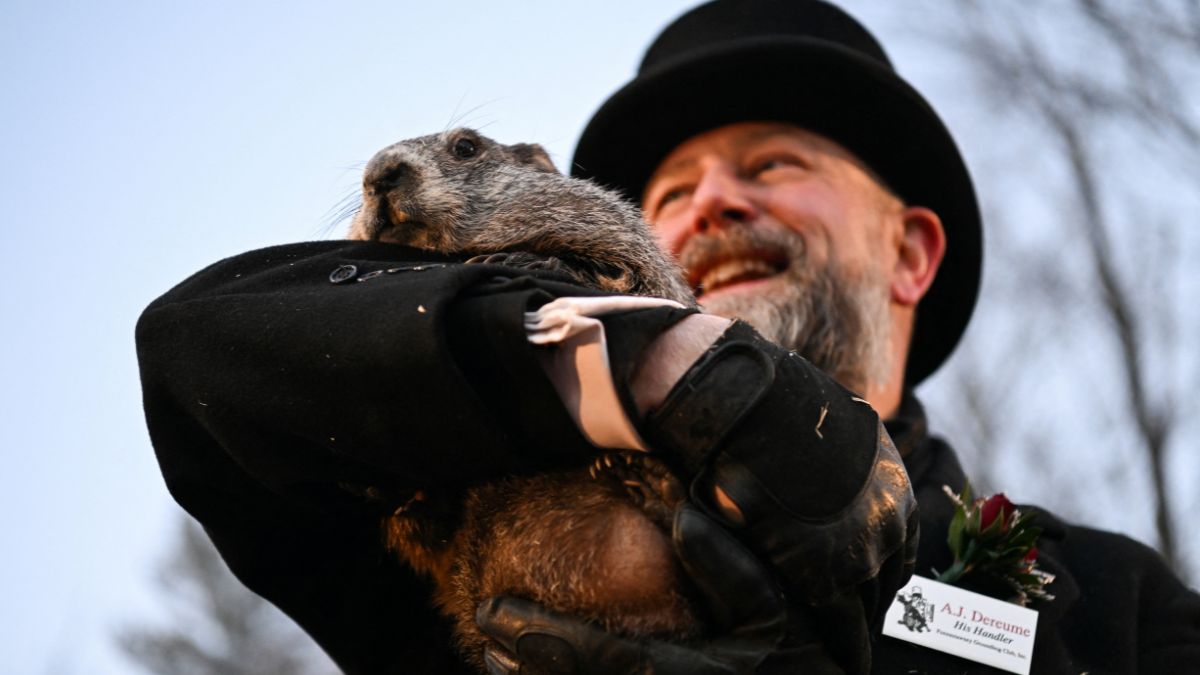 Świstak przepowiedział los milionów ludzi. Jedno spojrzenie wystarczyło - Świat