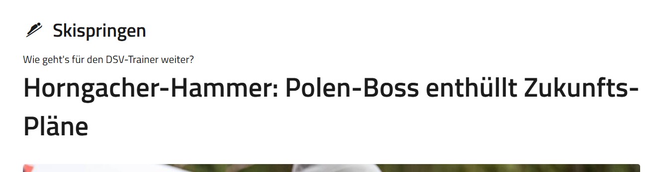 Niemcy zaskoczeni słowami o Horngacherze