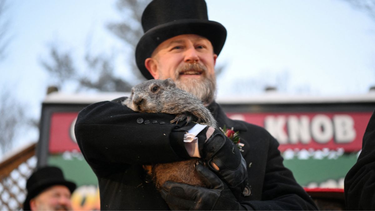 Świstak Phil z Punxsutawney (fot. Reuters)