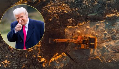 "Projekt Skarbiec" Donalda Trumpa. USA chcą uniezależnić się od Chin