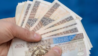 Nowy obowiązek dla właścicieli psów i kotów? Oto ile ma kosztować