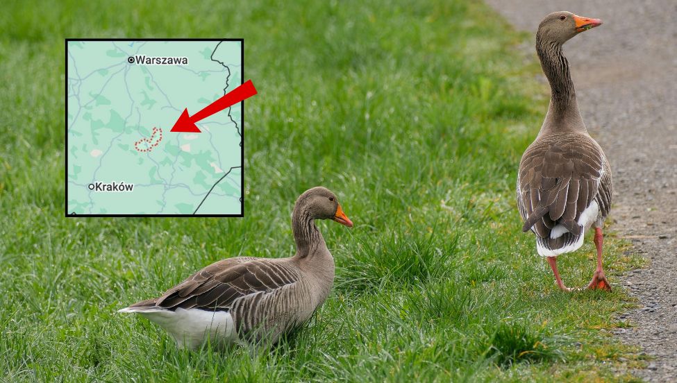 Tragiczne wieści ze Szwajcarii. Zmarł 18-latek ranny w Crans-Montanie