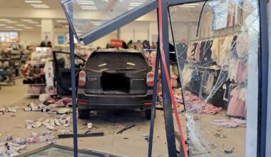 Metalowy łańcuch wrośnięty w ciało. Tak potraktowali Reksia