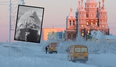 Dzień Świstaka w USA. Zapowiedź długiej zimy.