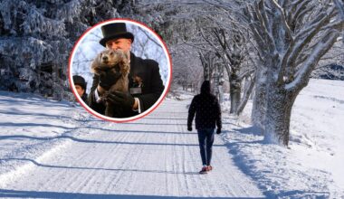 Nieznana substancja w lesie. Interwencja służb