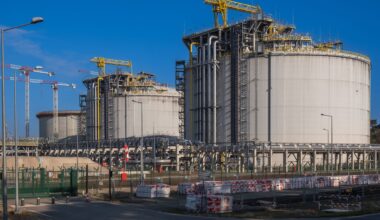 Wycinka drzew na własnej działce. Projekt tkwi w Sejmie. I budzi opory