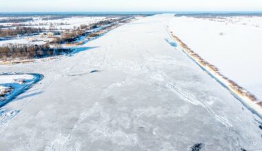 Zełenski dziękuje Polsce. "Była i jest stałym przyjacielem"