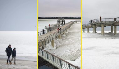 Niezwykłe zjawisko na Morzu Bałtyckim. Wystąpiło po raz pierwszy w historii - Onet