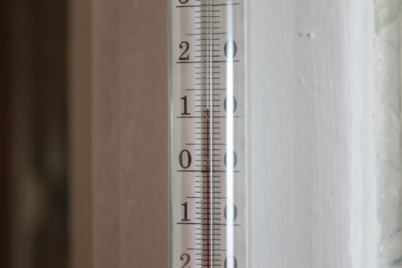 Termometr w mieszkaniu Walentyny Bardasz