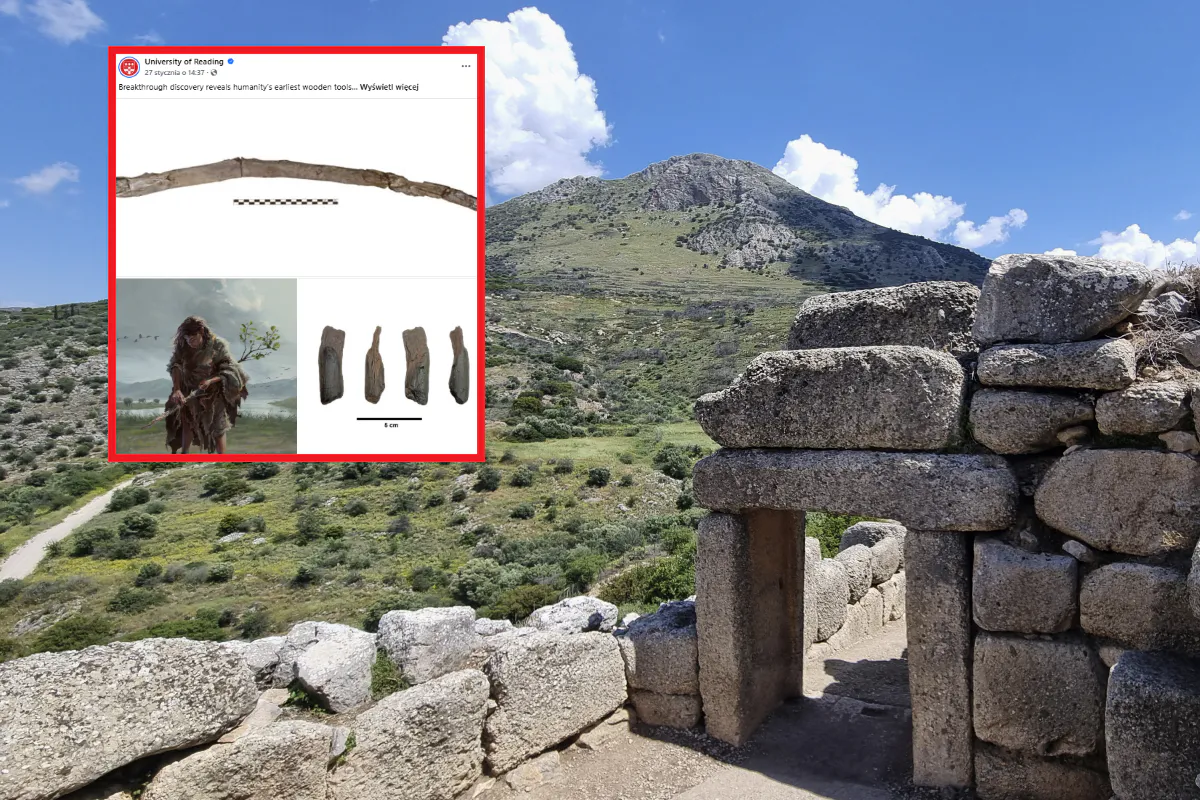 Organizowali loty Hitlera. "Lufthansa była beneficjentem nazizmu"